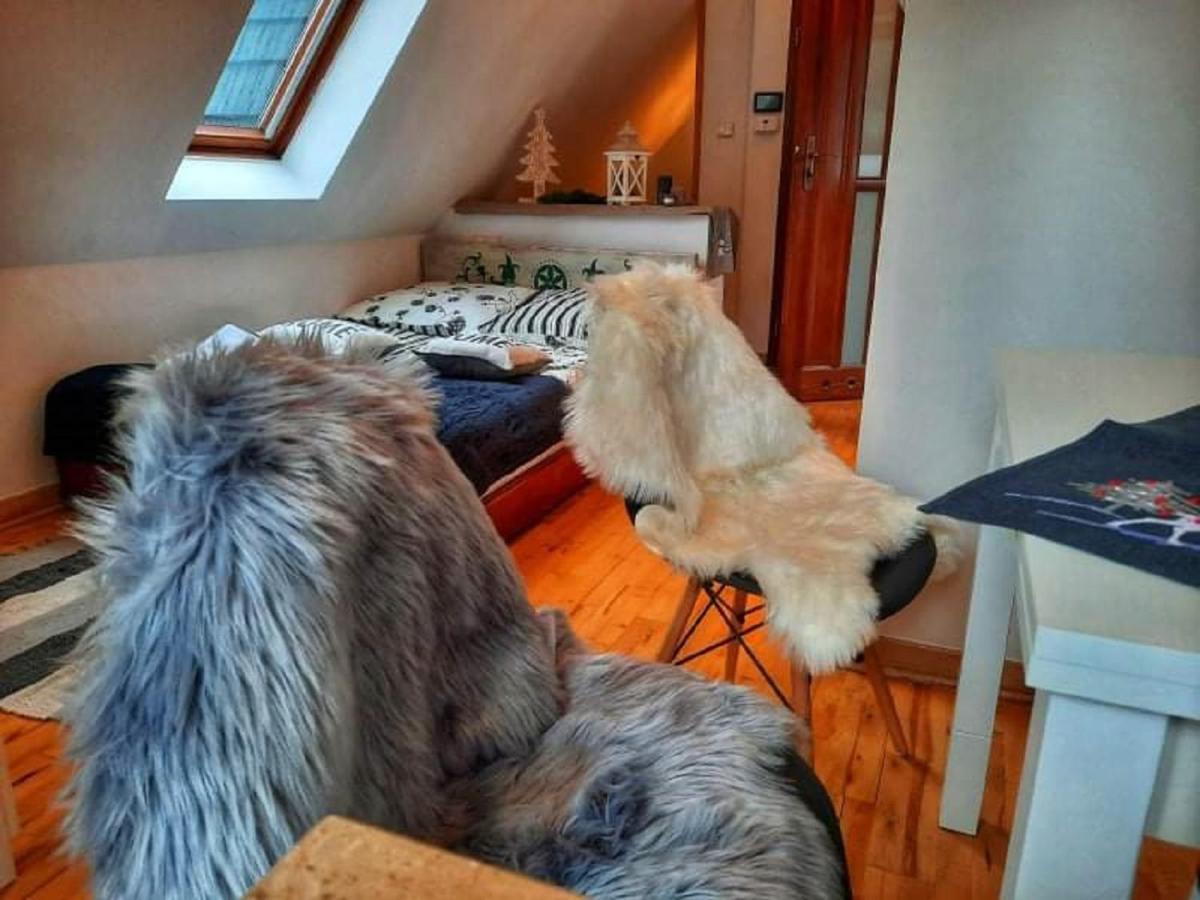 Czajka Apartament *