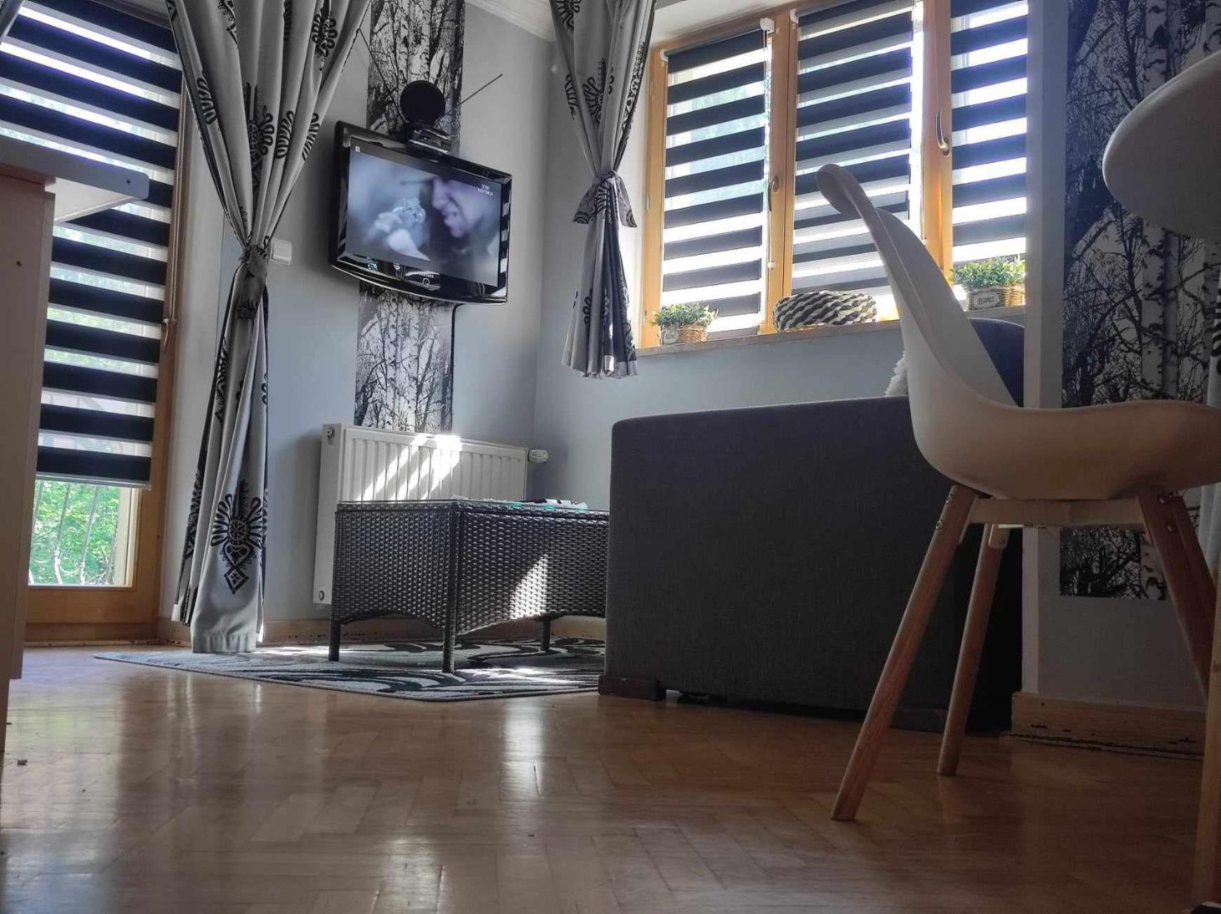 Apartament Czajka